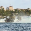 라인호프 이미지