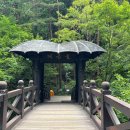 황금빛 노래연습장 | [강원/삼척] 강원도에 위치한 황금빛 동굴 대금굴