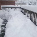 잠잠비치 이미지