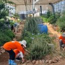 (유) 평화농장 이미지