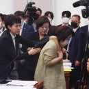 심상정 카카오 검색결과