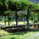 임씨네농장 이미지