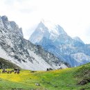 샹그릴라 이미지