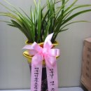 예천동부초등학교 이미지