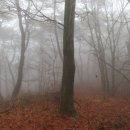 곡성군삼기면근촌보건진료소 | [통명지맥02]수산재~대명산~불노치
