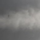 신진카써비스 이미지