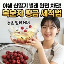 산딸기 속 검은 벌레 완벽 차단! 복분자 벌레제거 황금 세척법