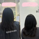 수원 금곡동 미용실 추천 영진헤어 빌드펌 후기