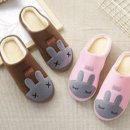 더디에이치투 이미지