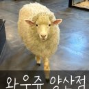 와우쥬 양산점 이미지