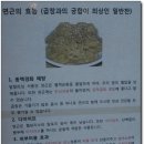 서울곱창 이미지