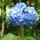 영광 매간당 고택 이미지