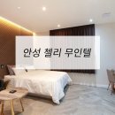 호텔무인텔 | 호텔가구 , 모텔가구 설치 후기 - 안성첼리무인텔
