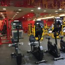 휘트니스A 이미지