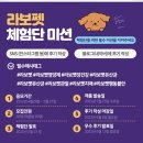 스퀘어독스 펫 | 라보펫 체험단 후기