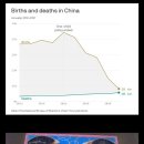 중국 출산율 근황 이미지