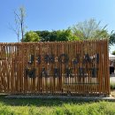 여자혼자 치앙마이 3박4일 2편(캣츠키친, 왓치앙만, 쿤캐쥬스바, 퍼 타오와둥숙소, 넹무옵옹, 로띠빠데...