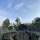 벨리타 캠핑장 이미지