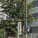 윤결 사우나 이미지