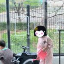 알퐁달퐁드로잉카페 이미지