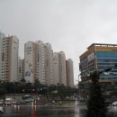 수원-1201 이미지