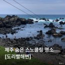 아쿠아빨래터 | 제주 서귀포시 스노쿨링 하기 좋은 곳 추천 [도리빨 해변]