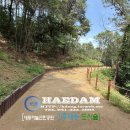 하늘 해담 이미지