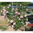 참살이농장 이미지