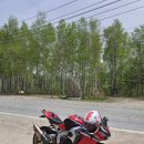 CBR1000RR SP 18" 판매. 이미지