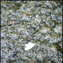 기픈골황토마루 이미지