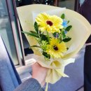 (주)참고을 | 일자리 체험 페스티벌 기업 상담 전북 청년도전지원사업 후기