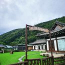늘푸름펜션 | 애견펜션 사랑독채잠빌펜션 (한옥, 환갑여행추천)