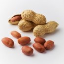 땅콩 동물병원 이미지