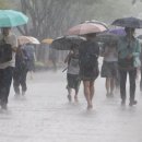 2025년 장마기간 전망과 기상자료 이미지