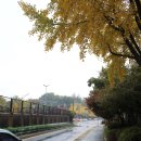 19.동아APT A(2차 벽면) | [도봉 역사문화길 B] / 창동역 2번 출구에서 전태일 열사 옛집터까지