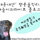 알뜨르식당