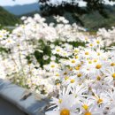 지리산산하루 이미지