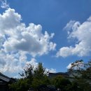 [전북/고창] 고창 가볼만한 곳, 숲 속에 상사화가 한 가득 '선운산생태숲'🌺