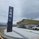 노물리 블루로드길 | 역대급 산불, 그 후 6개월 _ 영덕 뚜벅이 (블루로드 4코스. 죽도산 출렁다리, 노물리 산불 복구 현황)