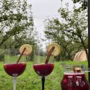 숲속향기캠핑장 이미지