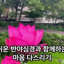 6/30 오늘자 sk하이닉스 주가 310만원 이미지