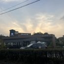 벨라몽 애견호텔 이미지