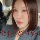 아이비