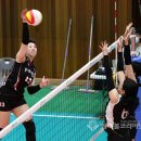 고송희