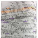 양재초등학교 | 양재초영어학원, 수능까지 고속도로 뚫어준 고학년 영어 로드맵