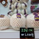 유성청과 이미지