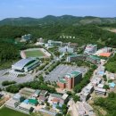 신성대학교