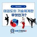 바른선태권도 이미지