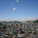 쭌이야기 이미지