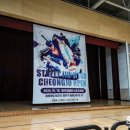 칼슨그레이시 코리아 이미지